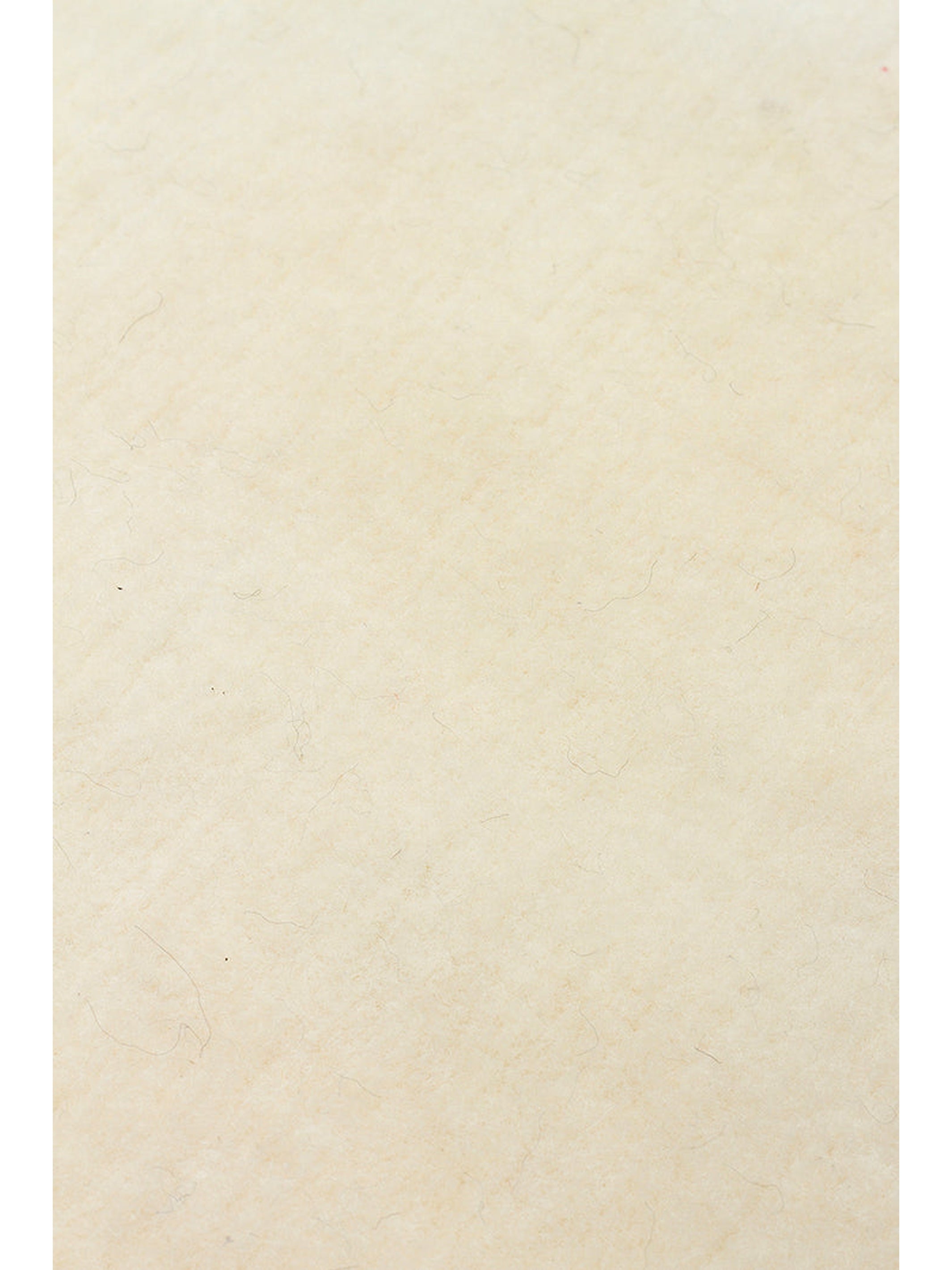 New Zealand Serisi %100 Naturel Yeni Zelanda Yünü El Dokuma Salon Oturma Odası Yatak Odası Halı IVR